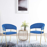 Albion Collection Etienne Velvet Dining Chairs