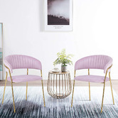Albion Collection Etienne Velvet Dining Chairs