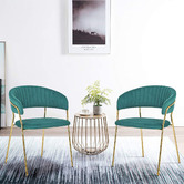 Albion Collection Etienne Velvet Dining Chairs