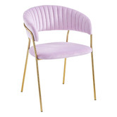 Albion Collection Etienne Velvet Dining Chairs
