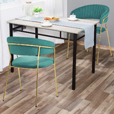 Albion Collection Etienne Velvet Dining Chairs