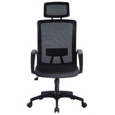 Albion Collection Kirk Mesh Office Chair