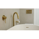 Meir Sigma 21 Dual Flush Plate by Geberit