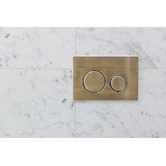 Meir Sigma 21 Dual Flush Plate by Geberit