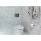 Meir Sigma 21 Dual Flush Plate by Geberit