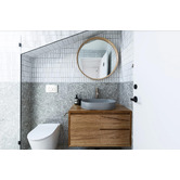 Meir Sigma 21 Dual Flush Plate by Geberit