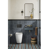 Meir Sigma 21 Dual Flush Plate by Geberit