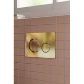 Meir Sigma 21 Dual Flush Plate by Geberit