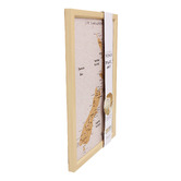 Splosh New Zealand Travel Map Pin Board