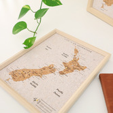 Splosh New Zealand Travel Map Pin Board