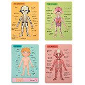Tooky Toy Tooky Toy Magnetic Body Chart