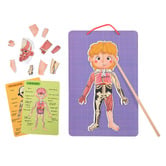 Tooky Toy Tooky Toy Magnetic Body Chart