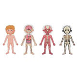 Tooky Toy Tooky Toy Magnetic Body Chart