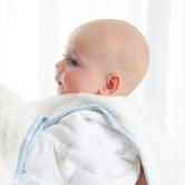 Living Textiles Living Textiles Elephant Playtime Cotton Pram Blanket