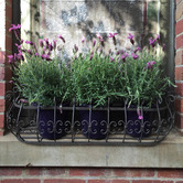 The Complete Garden 2 Piece Wrought Iron Wall Planter Set