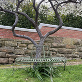 The Complete Garden Rina Tree Surround Bench