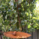 The Complete Garden Hanging Leaf Bird Feeder