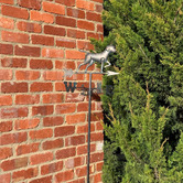 The Complete Garden Channing Dog Steel Weather Vane