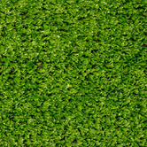 Matfx Economy DIY Artificial Grass