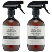 Ladelle 500ml Lemon &amp; Spearmint Mirror &amp; Glass Cleaners