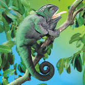 Folkmanis Green Chameleon Puppet
