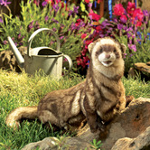 Folkmanis Kids' Ferret Hand Puppet