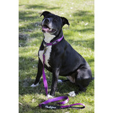 Huskimo Trekpro Dog Lead