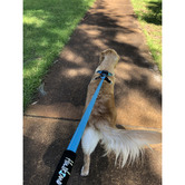 Huskimo Trekpro Dog Lead