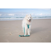 Huskimo Trekpro Dog Lead