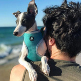 Huskimo Easyfit Dog Harness