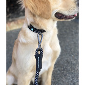 Huskimo Classic Motivate Dog Lead