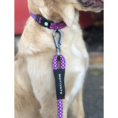 Huskimo Classic Motivate Dog Lead