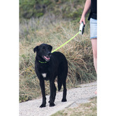 Huskimo Black Retractable Dog Lead