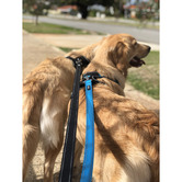 Huskimo Trekpro Dog Lead