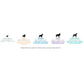 Huskimo Trekpro Dog Collar