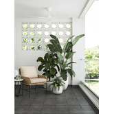 Claro Whisper 132cm DC Ceiling Fan