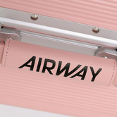 Swisswin Titan Aluminium Suitcase
