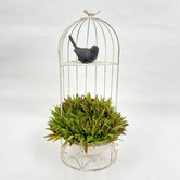 K'sHomewares&amp;Decor Half Bird Cage Plant Stand