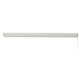 BAHA Aster White Sunscreen Roller Blind