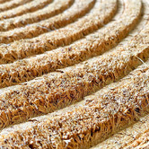 Door Mates Arch Impression Mate Coir Doormat