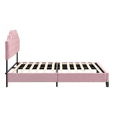 Evie Home Vera Button Tufted Velvet Bed Frame