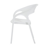 Evie Home Tara Outdoor Dining Chairs