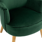 Evie Home Caspian Velvet Accent Chair