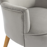 Evie Home Caspian Velvet Accent Chair