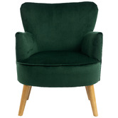 Evie Home Caspian Velvet Accent Chair
