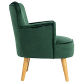 Evie Home Caspian Velvet Accent Chair
