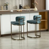 Evie Home 66cm Ricano Velvet Bar Stools