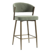 Evie Home 66cm Chacino Velvet Bar Stools