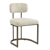 Evie Home Ricano Velvet Dining Chairs