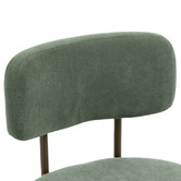 Evie Home Ricano Velvet Dining Chairs
